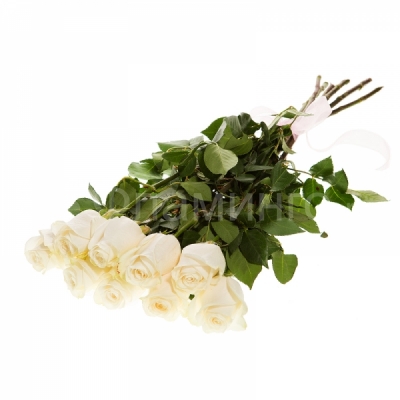 Розы код 658 Девять белых роз - нежный и <a href=