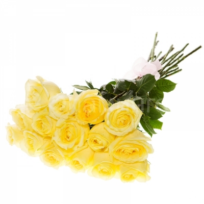 Розы код 674 Двадцать пять жёлтых роз - солнечная охапка ароматных роз! 25 жёлтых роз