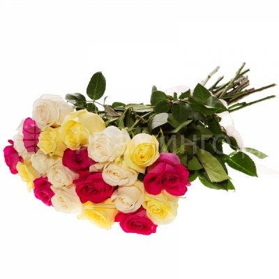 Розы код 681 Двадцать пять цветных роз - замечательный яркий подарок к любому торжеству! 25 разноцветных роз